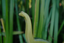 Load image into Gallery viewer, HOLZWALD Brachiosaurus, Green