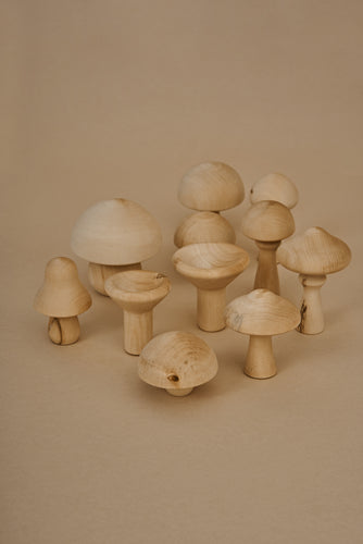 RADUGA GREZ Mushrooms, Natural