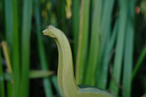 HOLZWALD Brachiosaurus, Green