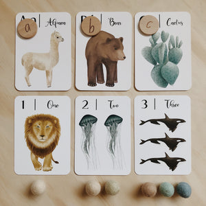 Nature's 123 Flashcards