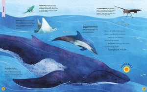 Sounds of the Wild: Discover incredible island animals