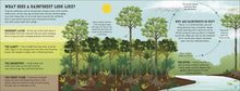 Load image into Gallery viewer, The Rainforest Book