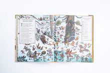 Load image into Gallery viewer, If You Go Down to the Woods Today: More than 100 things to find