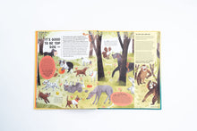 Load image into Gallery viewer, How to Talk to a Tiger… and other animals: How Critters Communicate in the Wild