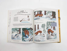 Load image into Gallery viewer, Slow Down: Bring Calm to a Busy World with 50 Nature Stories