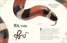 Load image into Gallery viewer, An Anthology of Intriguing Animals