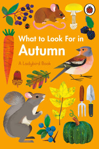 What to Look For in Autumn