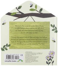 Load image into Gallery viewer, Animal Homes: A lift-the-flap book of discovery