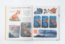 Load image into Gallery viewer, Slow Down: Bring Calm to a Busy World with 50 Nature Stories