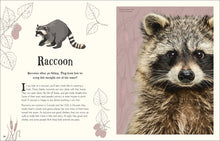 Load image into Gallery viewer, An Anthology of Intriguing Animals