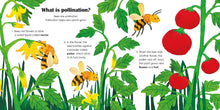 Load image into Gallery viewer, Bees: A lift-the-flap eco book