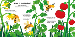Bees: A lift-the-flap eco book