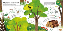 Load image into Gallery viewer, Trees: A lift-the-flap eco book