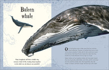 Load image into Gallery viewer, An Anthology of Intriguing Animals