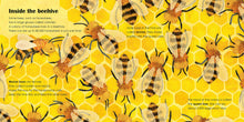 Load image into Gallery viewer, Bees: A lift-the-flap eco book