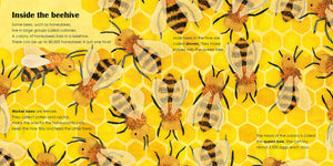Bees: A lift-the-flap eco book