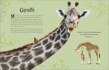 Load image into Gallery viewer, An Anthology of Intriguing Animals