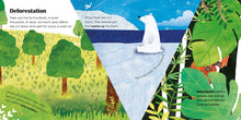 Load image into Gallery viewer, Trees: A lift-the-flap eco book