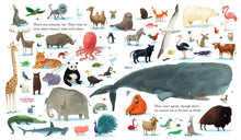 Load image into Gallery viewer, Here We Are: Notes for Living on Planet Earth