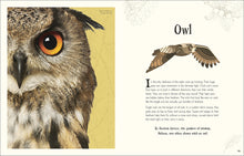 Load image into Gallery viewer, An Anthology of Intriguing Animals