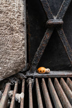 Load image into Gallery viewer, GRAPAT Lucky Lucky