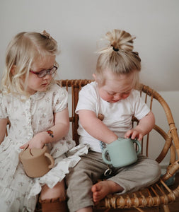Snack Cup