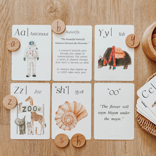 Around the World Phonics & Sounds Flashcards
