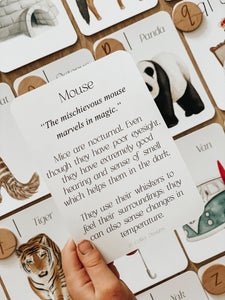 Around the World Phonics & Sounds Flashcards