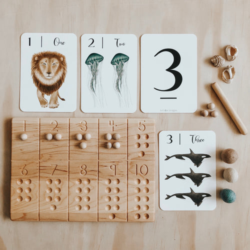 Nature's 123 Flashcards