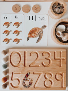 Nature's 123 Flashcards