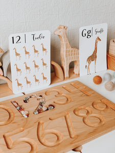 Nature's 123 Flashcards