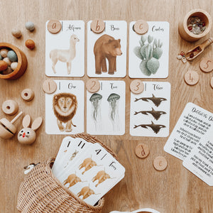 Nature's 123 Flashcards