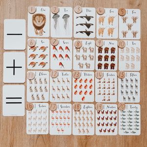 Nature's 123 Flashcards