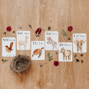 Nature's ABC Flashcards