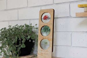 Timber Stand for Ecosystem Boards
