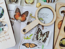 Load image into Gallery viewer, Noah&#39;s Toys Magnifying Glass