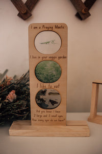 Timber Stand for Ecosystem Boards