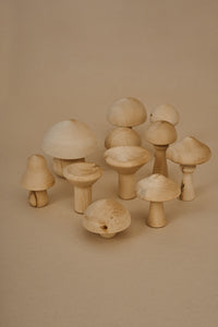 RADUGA GREZ Mushrooms, Natural