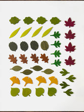 Load image into Gallery viewer, MOON PICNIC Woodland Leaves