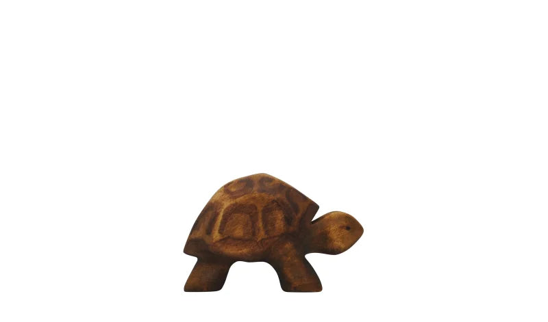 HOLZWALD Turtle